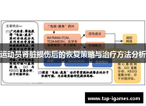 运动员肾脏损伤后的恢复策略与治疗方法分析 运动员肾脏损伤后的恢复策略与治疗方法分析